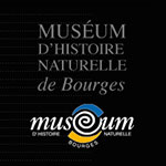 Museum d'Histoire Naturelle de Bourges